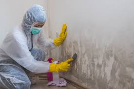 Best Commercial Mold Inspection  in Claypool, AZ